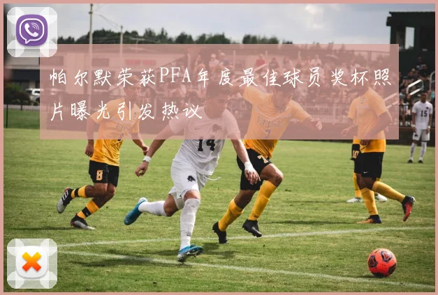 帕尔默荣获PFA年度最佳球员奖杯照片曝光引发热议