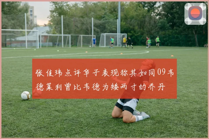 张佳玮点评华子表现称其如同09韦德莱利曾比韦德为矮两寸的乔丹